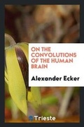 Cover: On the Convolutions of the Human Brain - Trieste Publishing