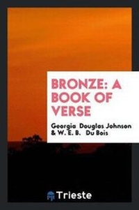 Enlarge image Cover: Bronze - Trieste Publishing