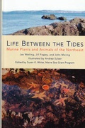 Cover: Life Between the Tides - Tilbury House,U.S.