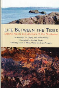 Enlarge image Cover: Life Between the Tides - Tilbury House,U.S.