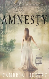 Enlarge image Cover: Amnesty - Cambria Hebert Books, LLC