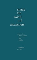 Bild: Inside the Mind of Awareness - Peter M. Ingle
