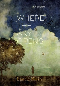 Enlarge image Cover: Where the Sky Opens - Wipf & Stock Publishers