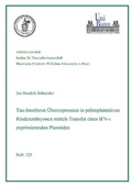 Cover: Tau-Interferon &Uuml;berexpression in pr&auml;implantativen Rinderembryonen mittels Transfer eines IFN exprimierenden Plasmides - Cuvillier Verlag eBooks