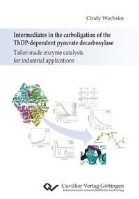 Abbildung von: Intermediates in the carboligation of the ThDP-dependent pyruvate decarboxylase - Cuvillier Verlag
