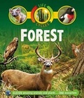 Cover: Life Cycles: Forest - Kingfisher