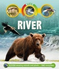 Cover: Life Cycles: River - Kingfisher