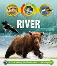 Enlarge image Cover: Life Cycles: River - Kingfisher