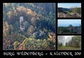 Cover: Burg Wildenberg - Waldkirch Verlag