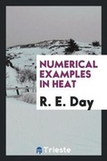 Cover: Numerical Examples in Heat - Trieste Publishing