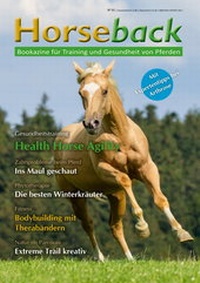 Abbildung von: Horseback - Silver Horse Edition