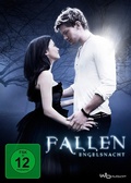 Cover: Fallen - Engelsnacht - Wild Bunch Germany