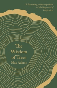 Enlarge image Cover: The Wisdom of Trees - Head of Zeus