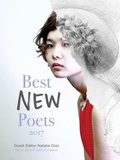 Cover: Best New Poets 2017 - University of Virginia Press