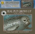 Cover: Seal Pup Grows Up - Soundprints