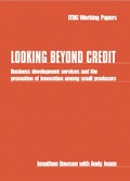 Cover: Looking Beyond Credit - Practical Action Publishing