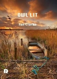 Enlarge image Cover: Owl Lit - Dempsey & Windle