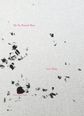 Cover: Sascha Weidner. The Far Flowered Shore - K&ouml;nig, Walther