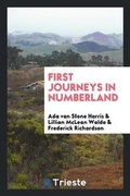 Cover: First Journeys in Numberland - Trieste Publishing