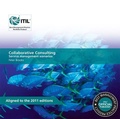 Cover: Collaborative Consulting - TSO