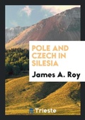 Cover: Pole and Czech in Silesia - Trieste Publishing