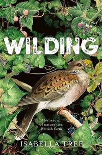Enlarge image Cover: Wilding - Picador