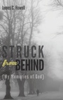 Cover: Struck from Behind - Wipf & Stock Publishers