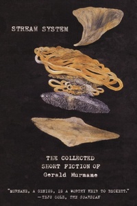 Enlarge image Cover: Stream System - Farrar, Straus and Giroux