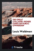 Cover: The Great Collapse - Trieste Publishing