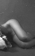 Cover: Israeli Nude Models Catalog 2 - Blurb