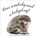 Cover: Does Somebody Need a Hedgehug? - Gibbs Smith
