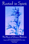 Cover: Rooted in Spirit - Station Hill Press