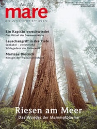 Abbildung von: mare - Die Zeitschrift der Meere / No. 124 / Bäume - mareverlag