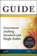 Cover: Audit Guide - Wiley