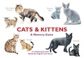 Cover: Cats & Kittens - Laurence King Publishing