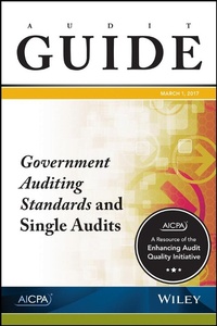 Enlarge image Cover: Audit Guide - Wiley-Scrivener