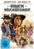 Cover: Begrabt die W&ouml;lfe in der Schlucht - WVG Medien