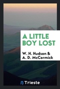 Cover: A Little Boy Lost - Trieste Publishing