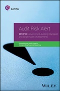 Cover: Audit Risk Alert - Wiley