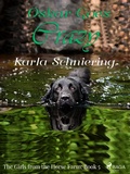 Cover: The Girls from the Horse Farm 5 - Oskar Goes Crazy - Saga Egmont