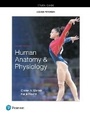 Cover: Study Guide for Human Anatomy & Physiology - Pearson