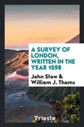 Cover: A Survey of London - Trieste Publishing