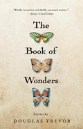 Cover: The Book of Wonders - Sixoneseven Books
