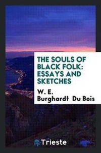 Abbildung von: The Souls of Black Folk - Trieste Publishing
