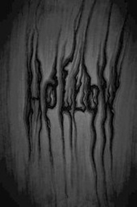 Enlarge image Cover: Hollow - Lulu.com