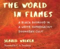 Cover: The World in Flames - Dreamscape Media