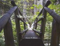 Enlarge image Cover: Vanishing Point - Bookbaby