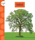 Cover: Trees - Spot