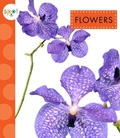 Cover: Flowers - Spot
