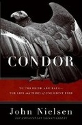 Cover: Condor - HarperCollins